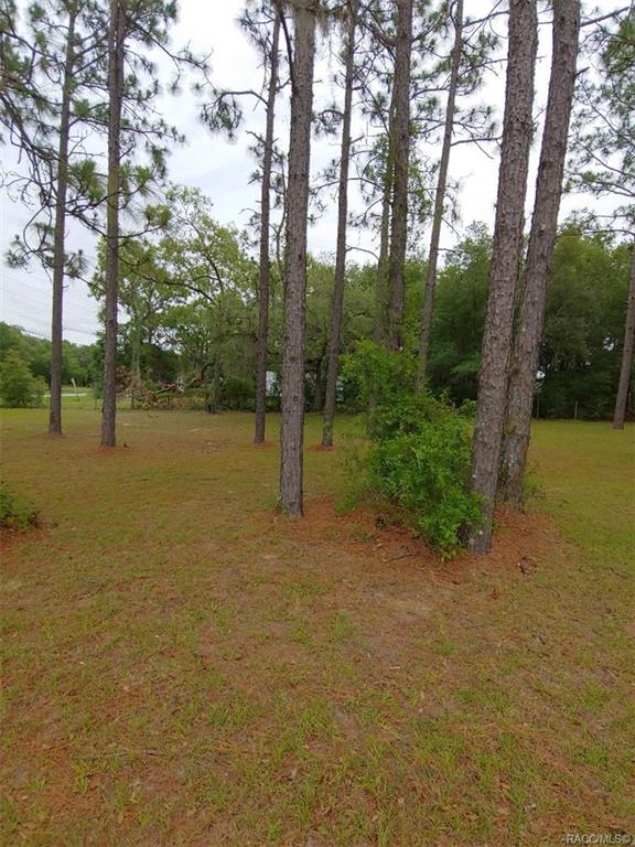 home for sale at 4248 S Lecanto Highway, Lecanto, FL 34461 in Leisure Acres