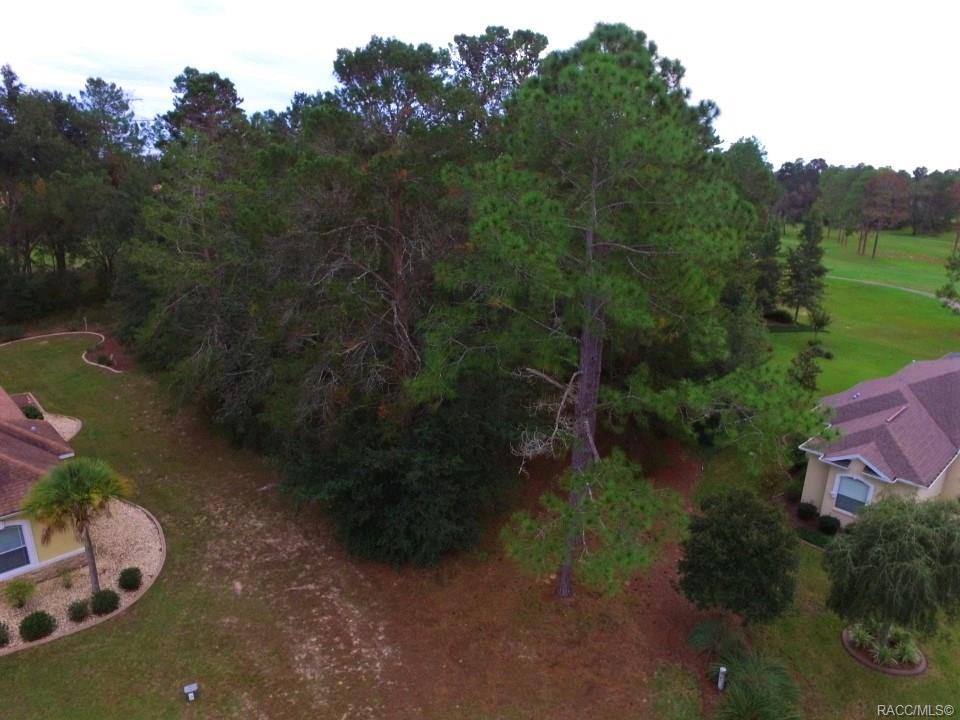 home for sale at 17 Woodlee Court S, Homosassa, FL 34446 in Sugarmill Woods - Southern Woods