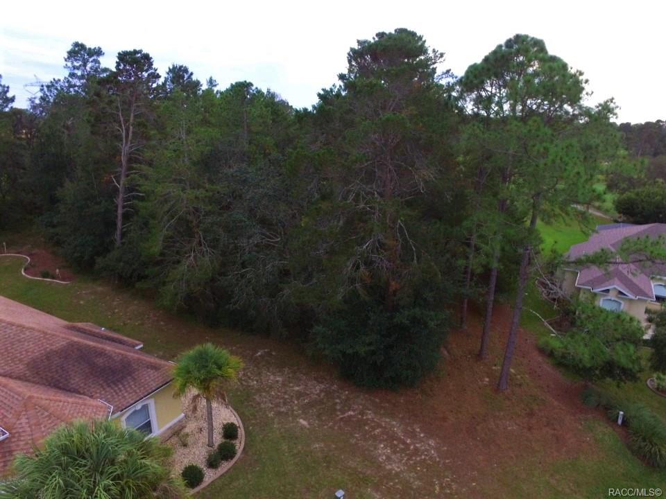 home for sale at 17 Woodlee Court S, Homosassa, FL 34446 in Sugarmill Woods - Southern Woods