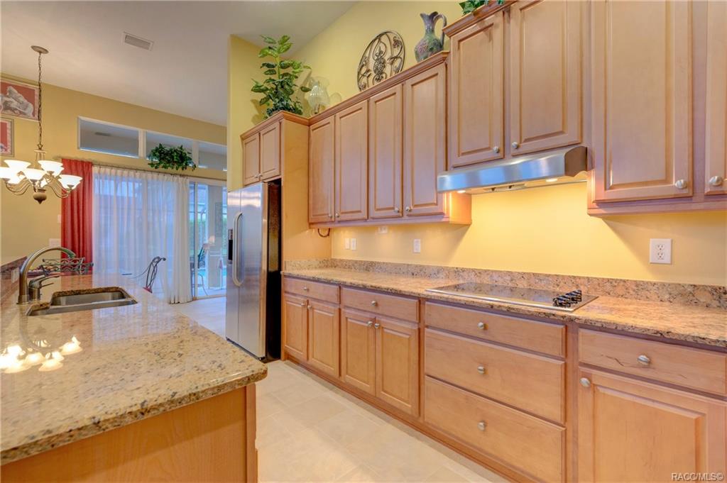 home for sale at 1578 N Tee Time Terrace, Hernando, FL 34442 in Citrus Hills - Terra Vista