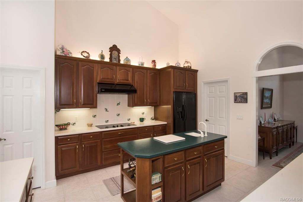 home for sale at 2671 N Carnoustie Loop, Lecanto, FL 34461 in Black Diamond Ranch