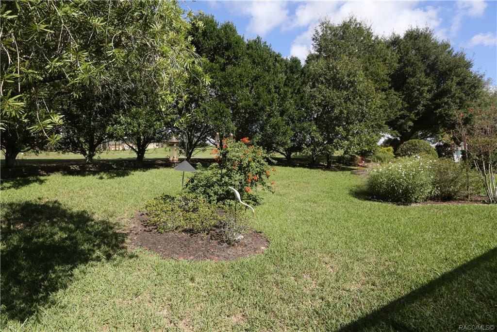 home for sale at 1517 N Dimaggio Path, Hernando, FL 34442 in Citrus Hills - Terra Vista