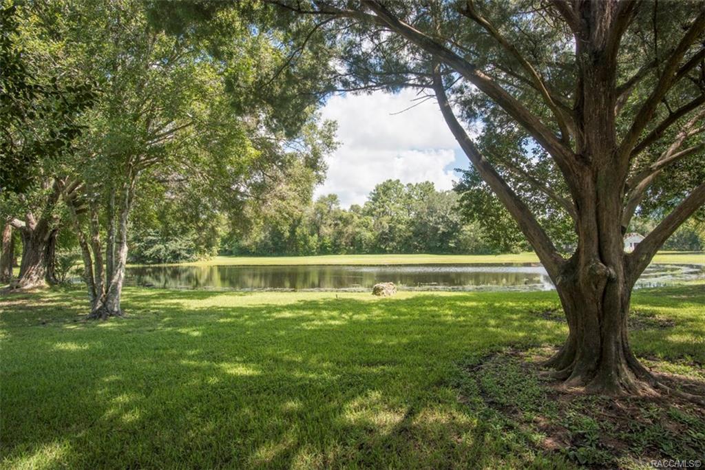 home for sale at 137 Douglas Street, Homosassa, FL 34446 in Sugarmill Woods - Cypress Village