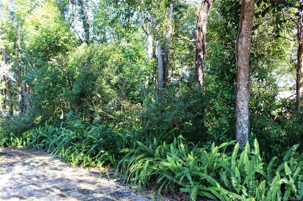 home for sale at 30 Byrsonima Court S, Homosassa, FL 34446 in Sugarmill Woods - Cypress Village