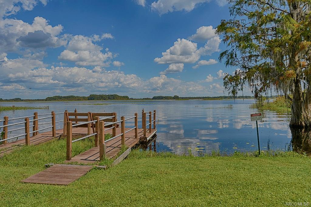 home for sale at 3684 E Ibis Cove Court, Hernando, FL 34442 in Arbor Lakes Unit III