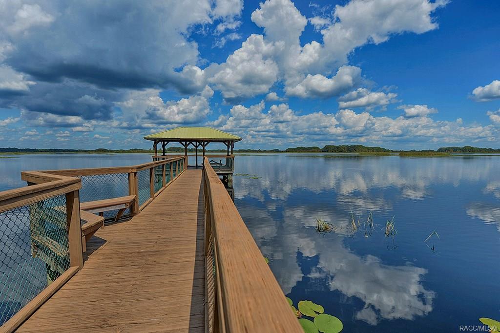 home for sale at 3684 E Ibis Cove Court, Hernando, FL 34442 in Arbor Lakes Unit III