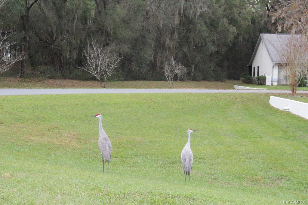 home for sale at 1862 Juneberry Lane, Inverness, FL 34453 in Whispering Pines Villas