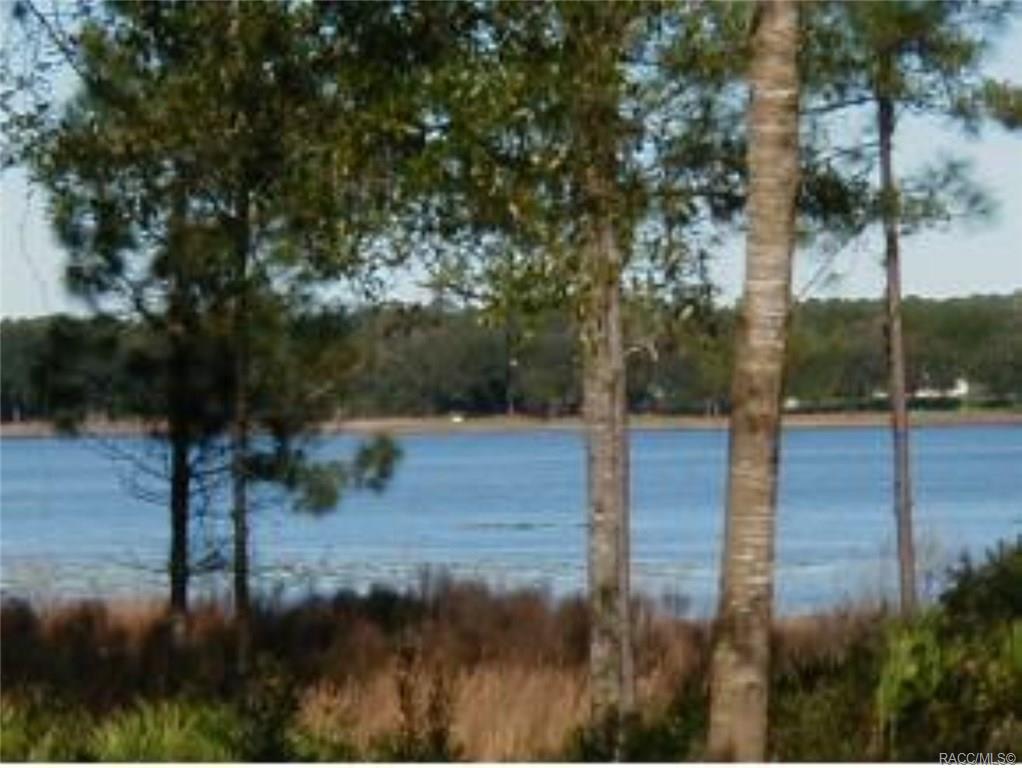 home for sale at Lot 29 SE 131st Avenue, Dunnellon, FL 34431 in Rainbow Lakes Estates