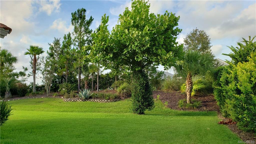 home for sale at 1215 N Hunt Club Drive, Hernando, FL 34442 in Citrus Hills - Terra Vista