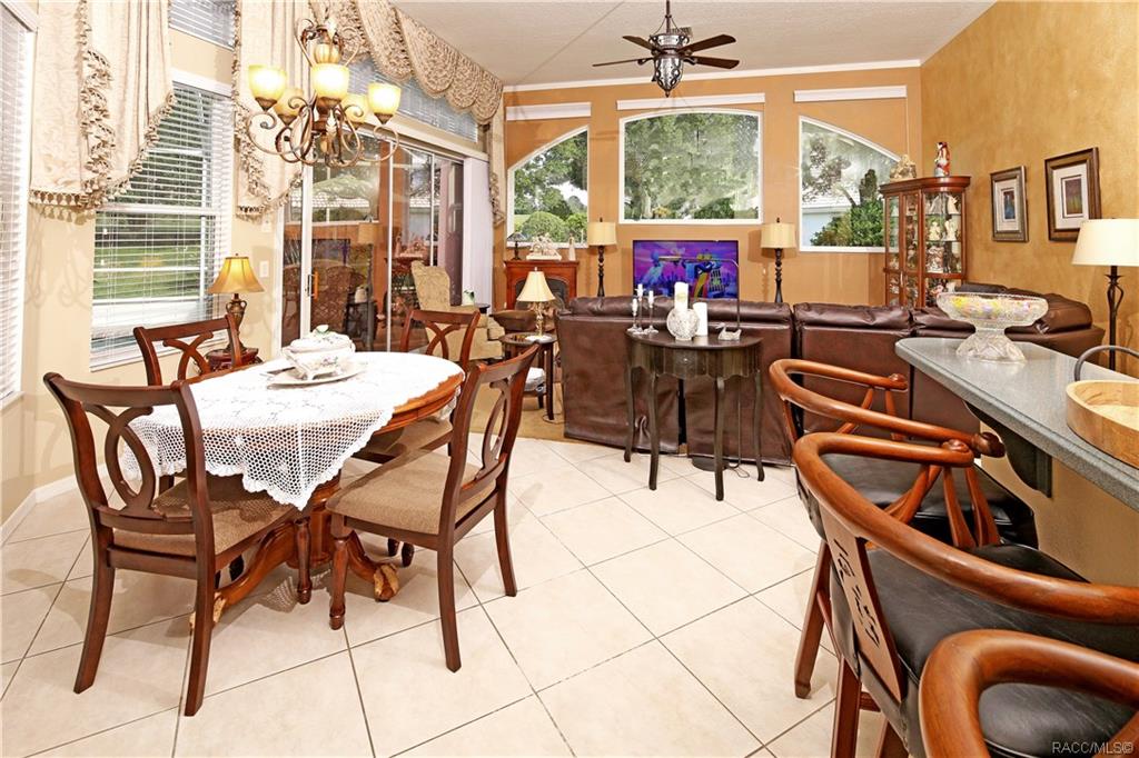 home for sale at 1517 N Dimaggio Path, Hernando, FL 34442 in Citrus Hills - Terra Vista